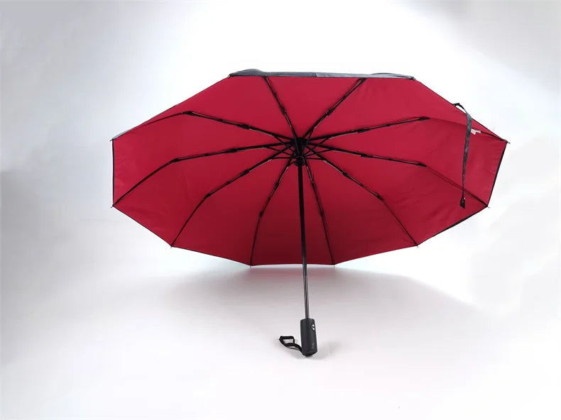 Windproof Double Layer Resistant Umbrella